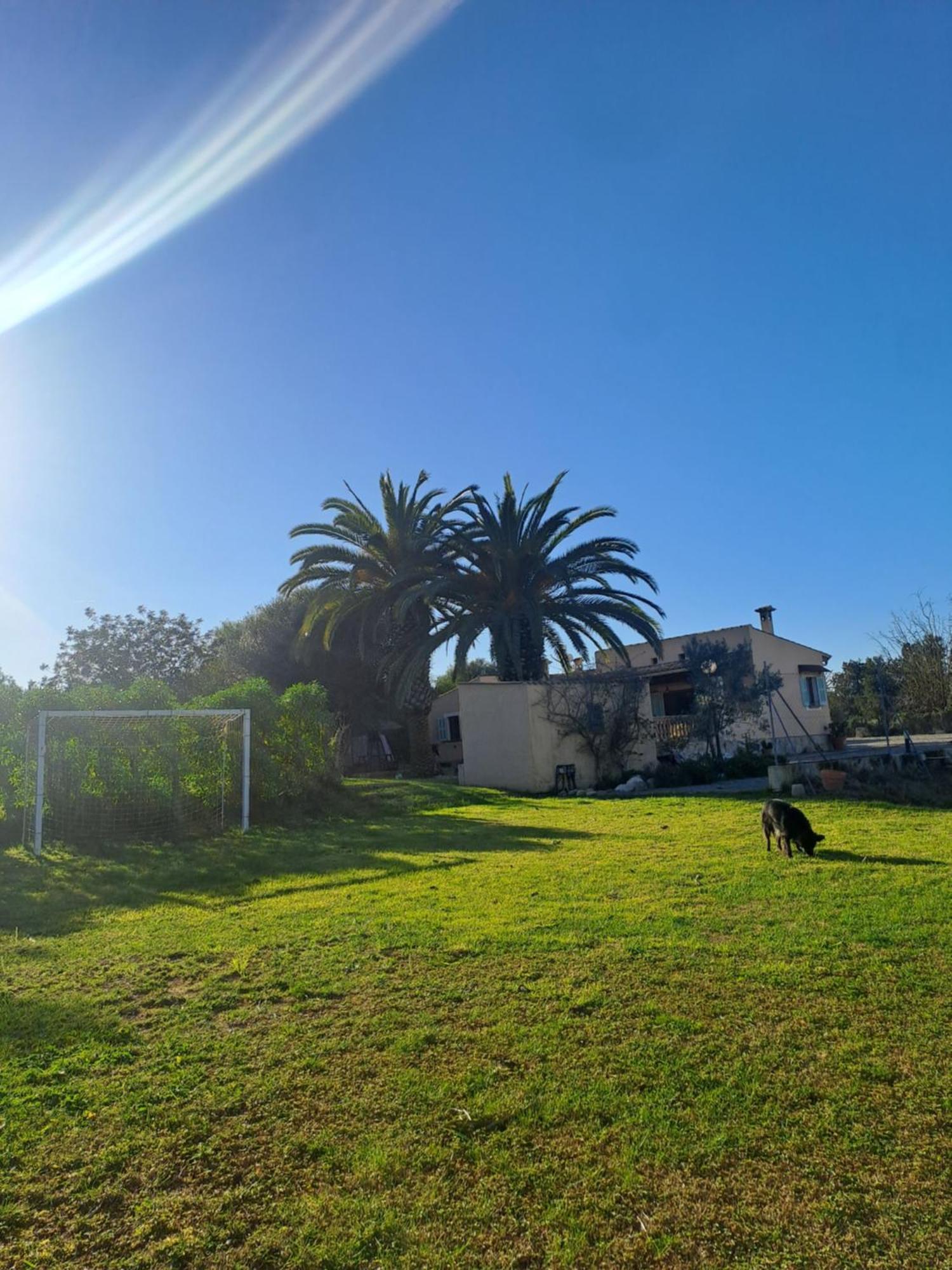 Es Garballons Villa Manacor (Mallorca)